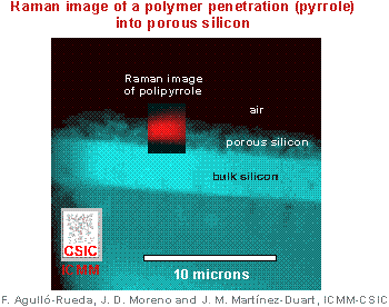 Polymer penetration into porous silicon