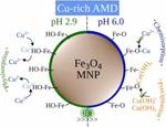 Experimental and theoretical investigation of the treatment of Cu-rich acid mine drainage using iron oxide magnetic nanoparticles